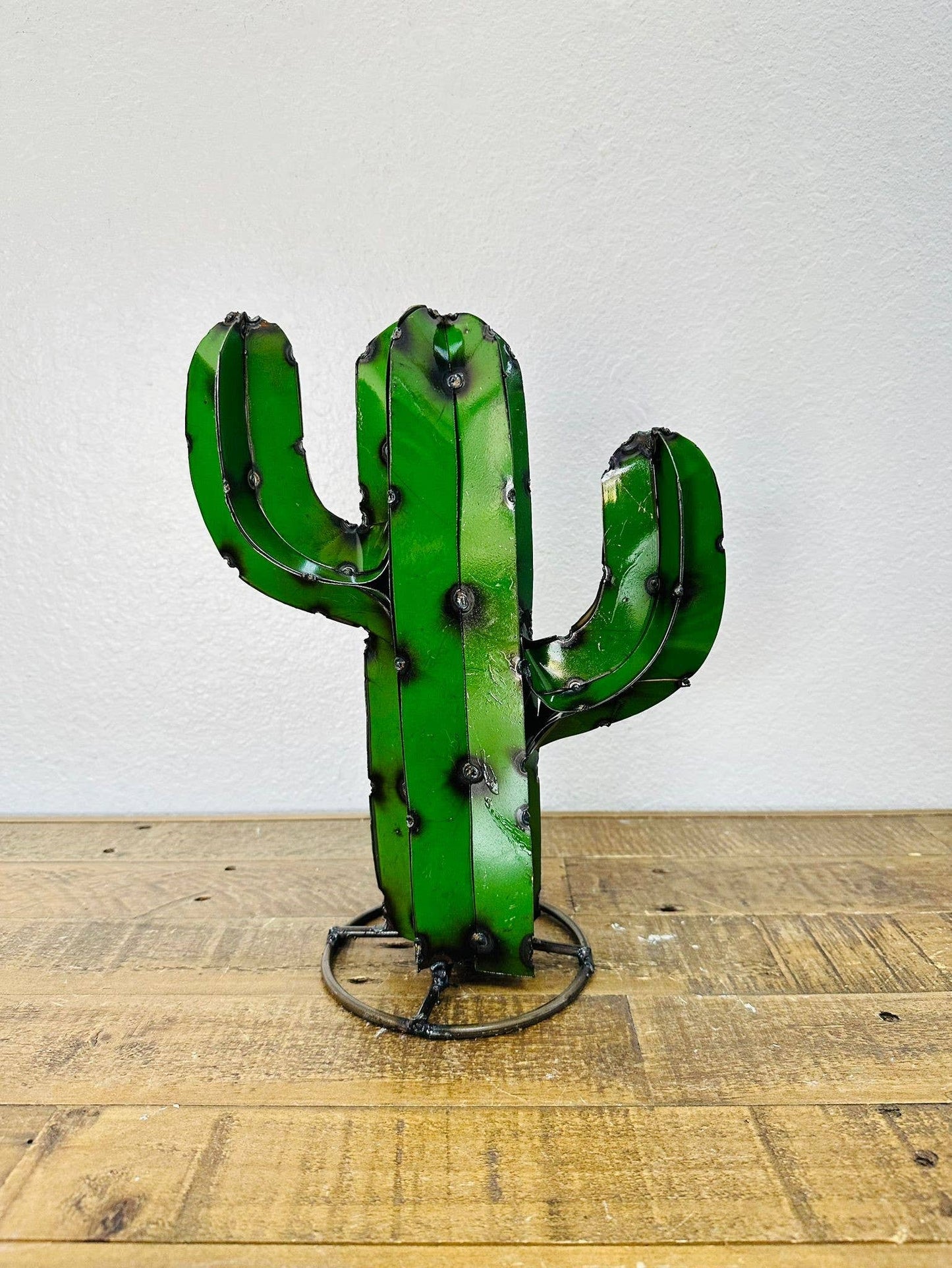 12" Arizona Cactus - Asstd. Colors