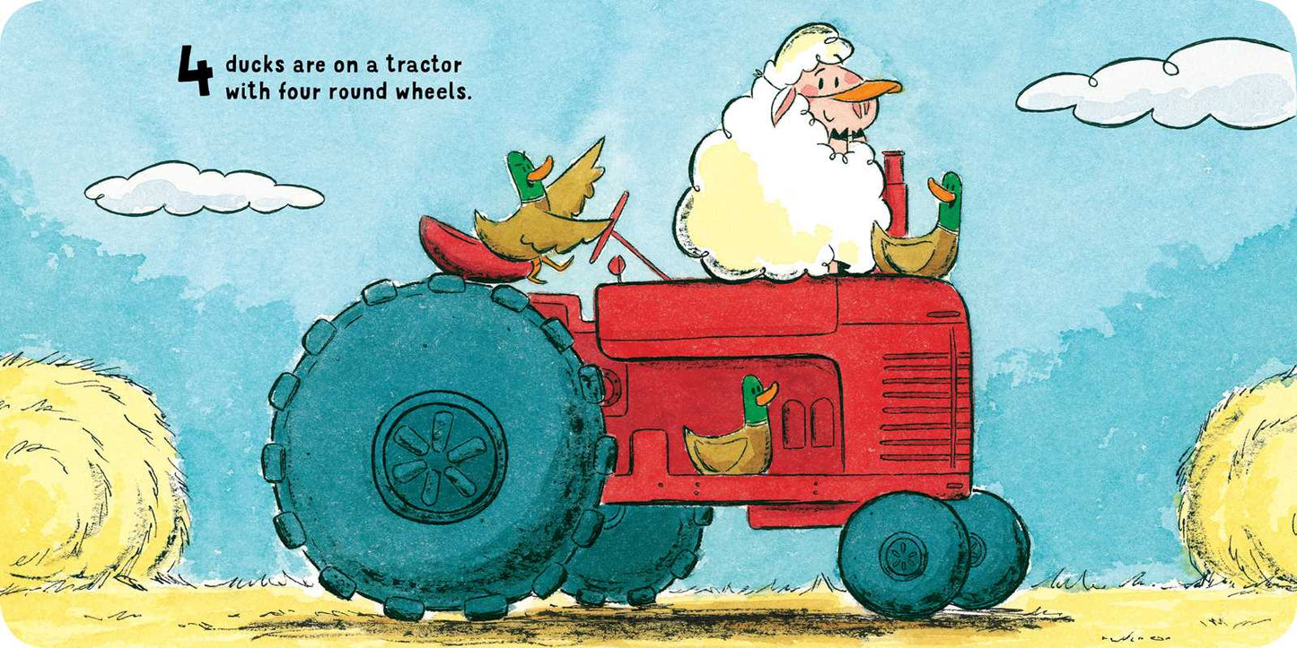 Hide 'n' Sheep by Jennifer Sattler