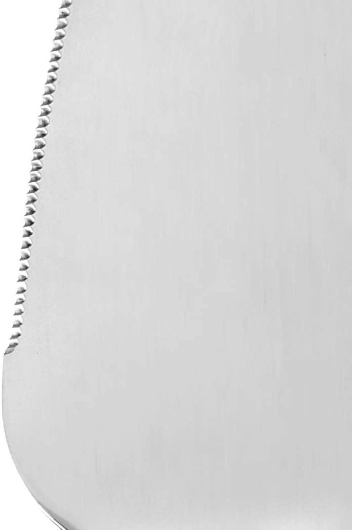 Fox Run Stainless Steel Pie and Cake Server, 10"
