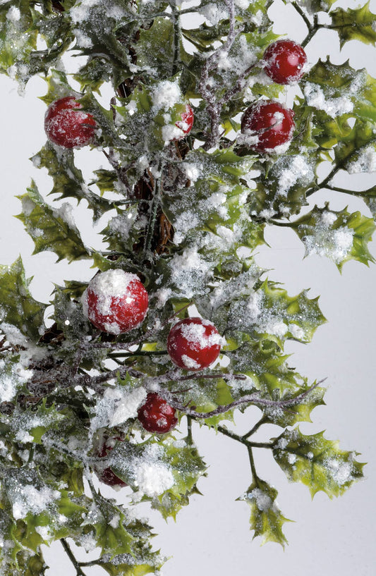 Holly Wreath