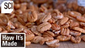 discoveryHowItsMadePecans