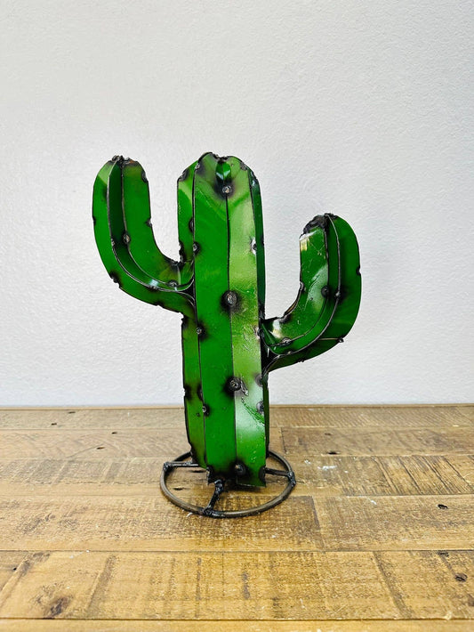 12" Arizona Cactus - Asstd. Colors