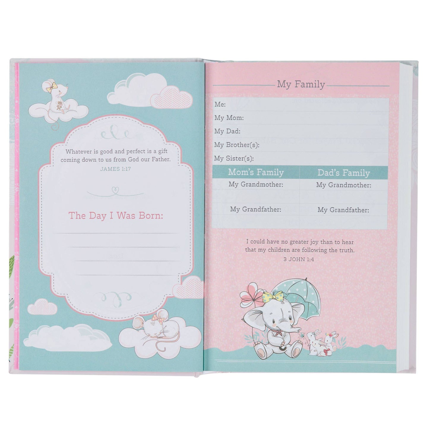 Bible NLT Infant Hardcover, Pink