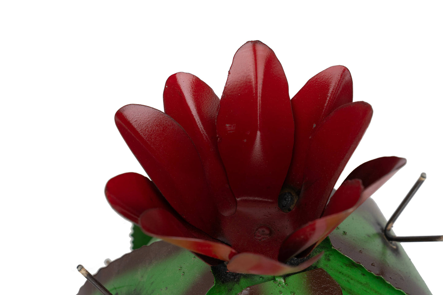 Barrel Metal Cactus-Garden-Desert-Barrel-Green
