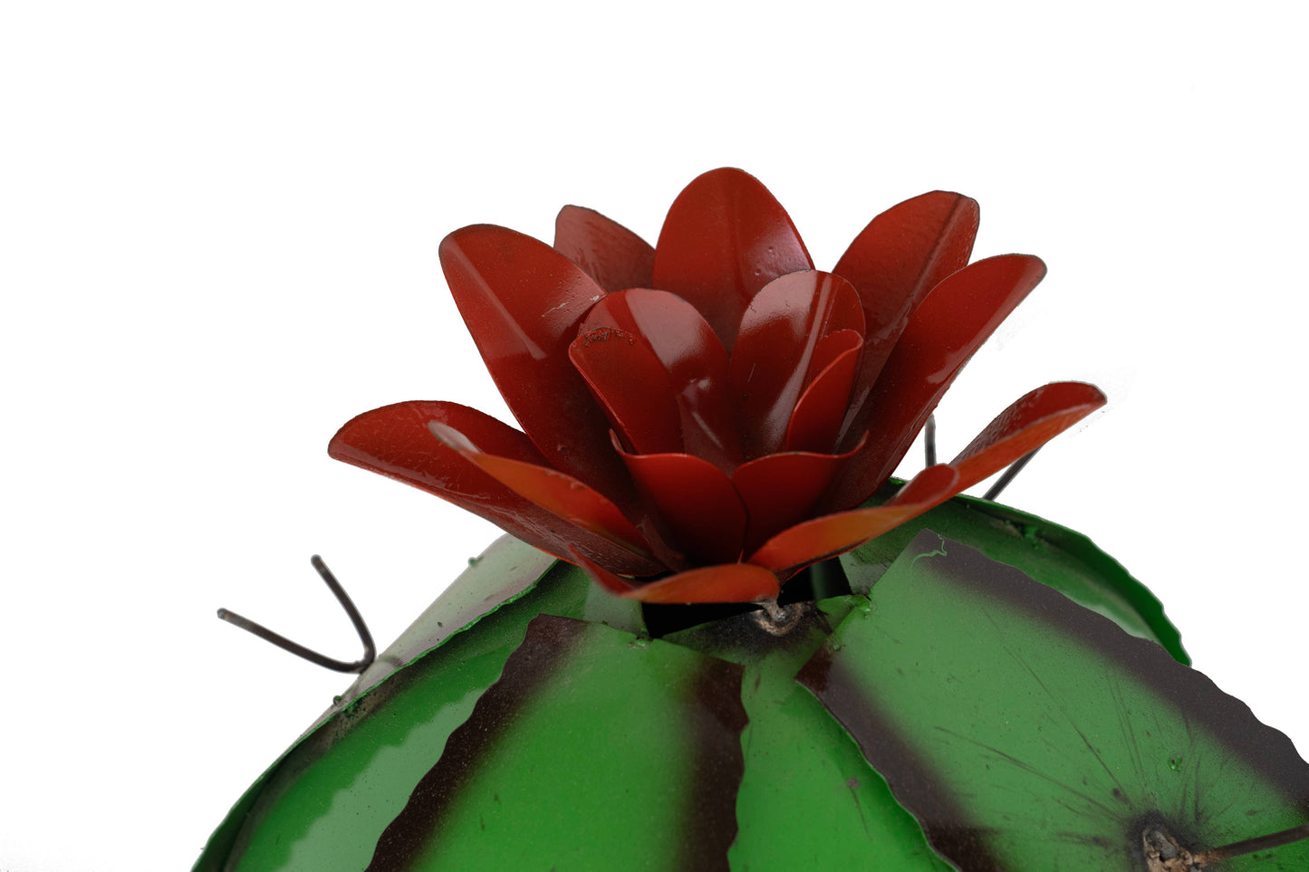 Barrel Metal Cactus-Garden-Desert-Barrel-Green