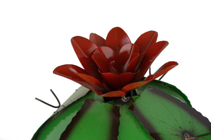 Barrel Metal Cactus-Garden-Desert-Barrel-Green