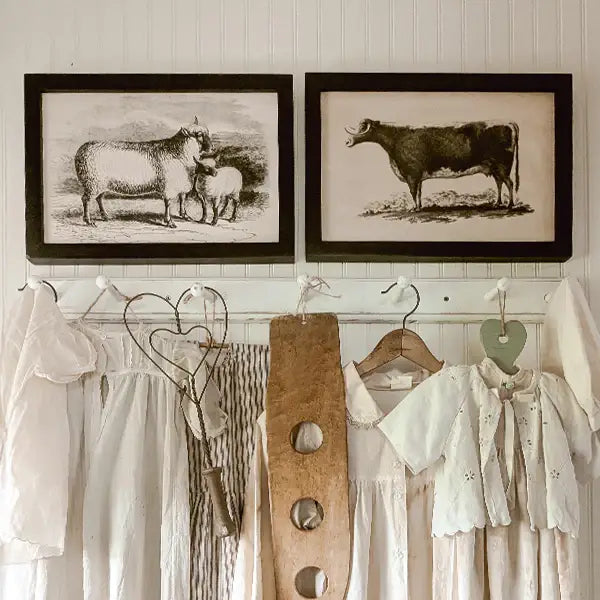 Homestead Framed Canvas - Bull