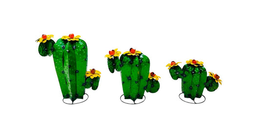 Cactus with Flowers