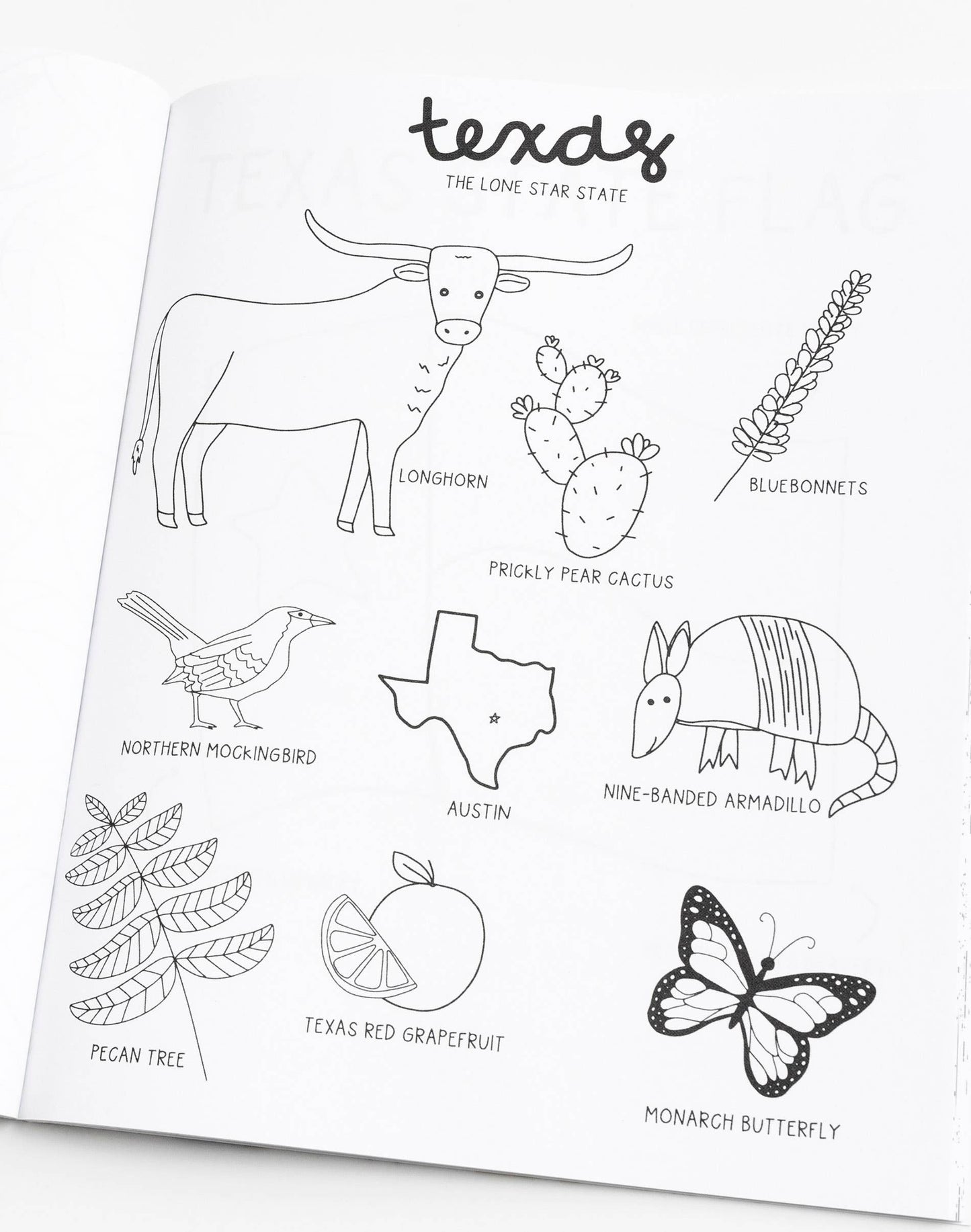 Texas Coloring Book
