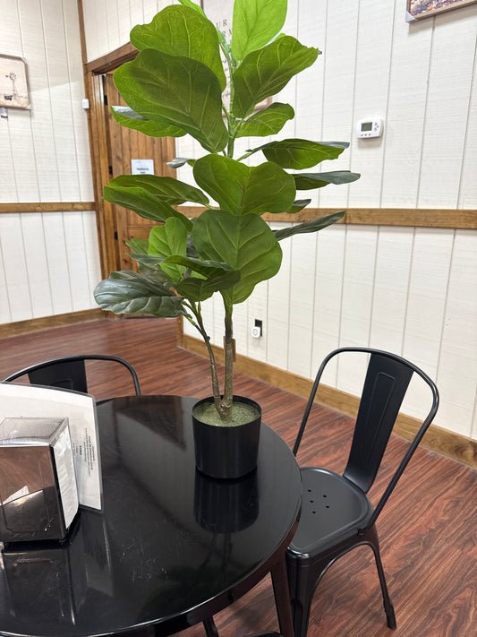 Plant