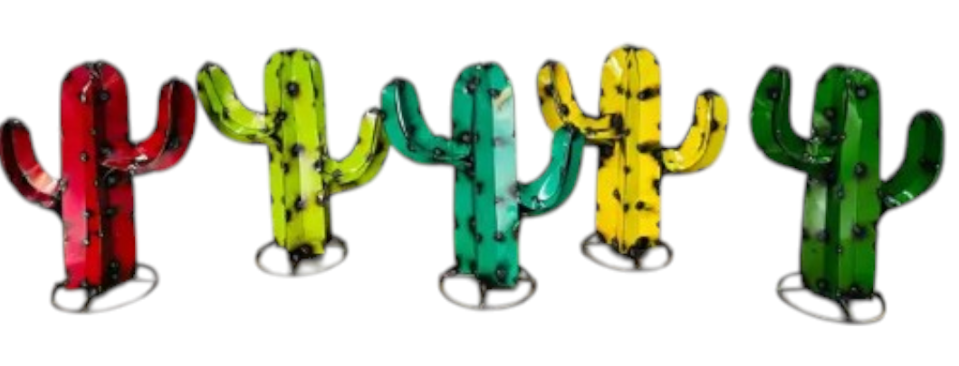 12" Arizona Cactus - Asstd. Colors