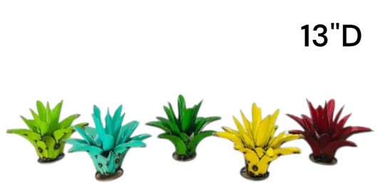 10" Agave Cactus, Asstd Colors