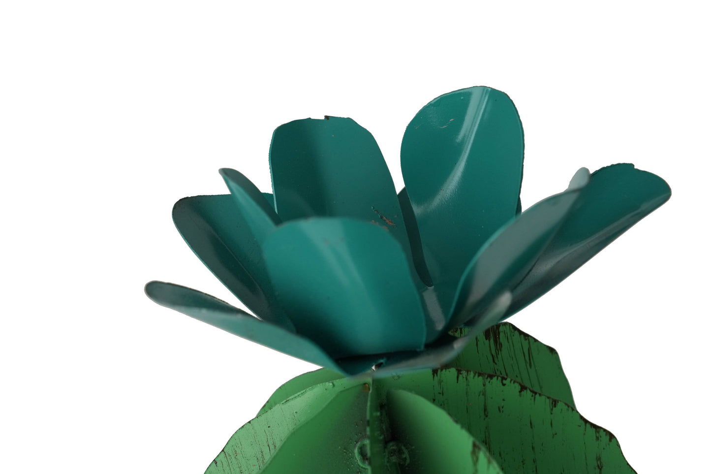 Curvy Cactus Cactus-19Wx9Dx24H inches-Three Colors-Medium