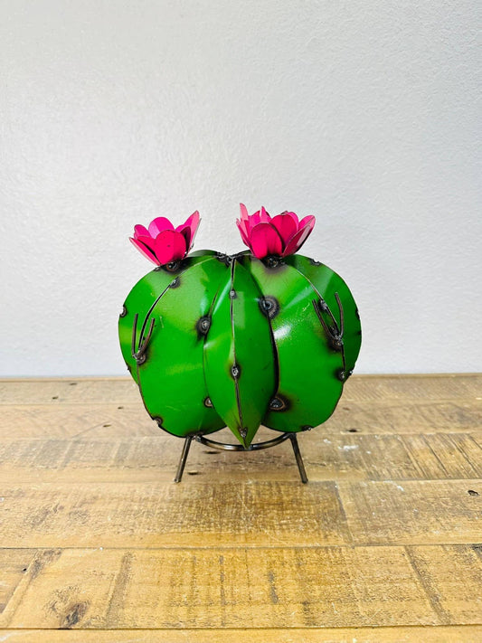 9" Pincushion Cactus - Asstd. Colors - H-2