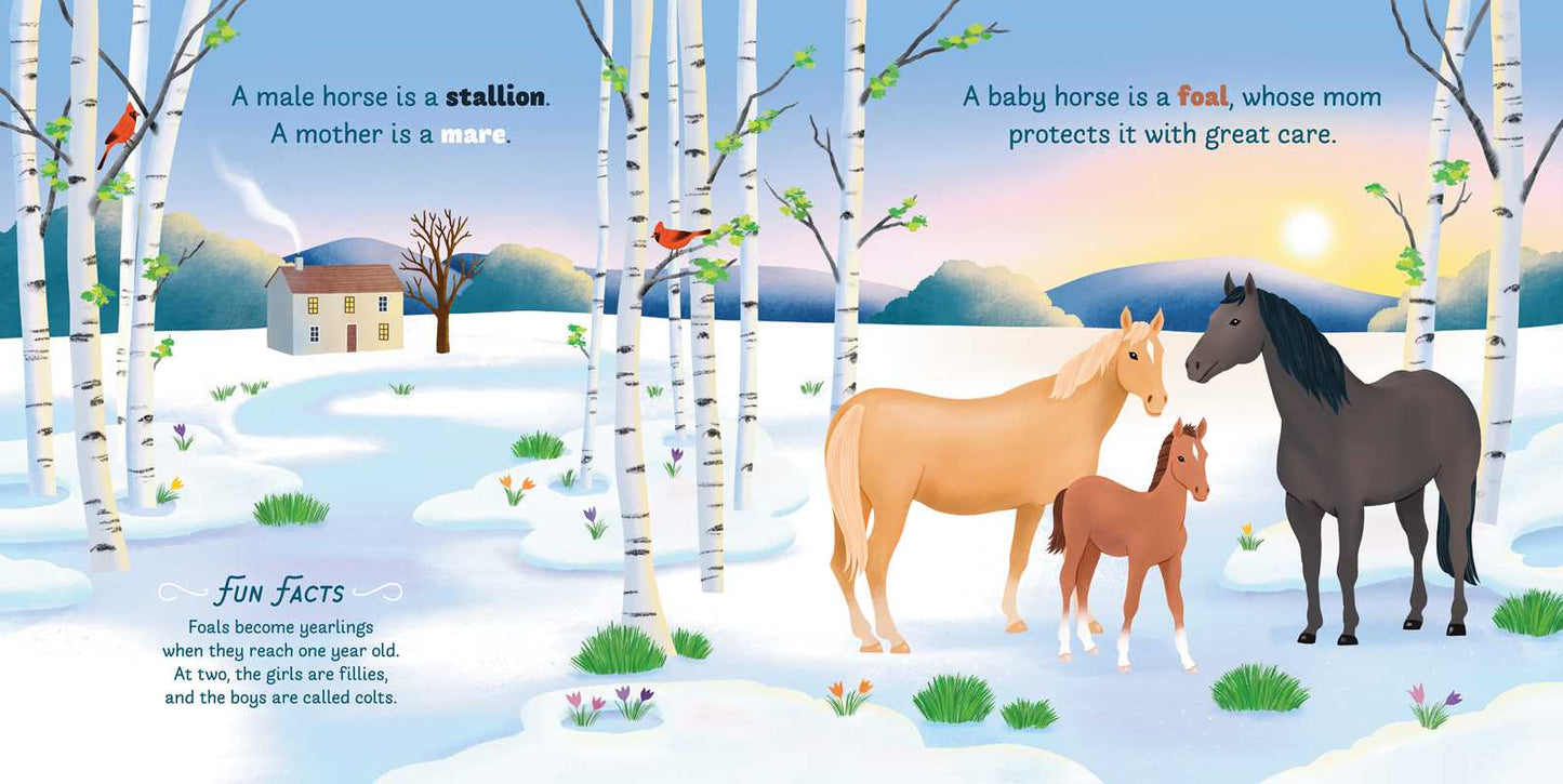 Little Genius Horses by Teesh Holladay