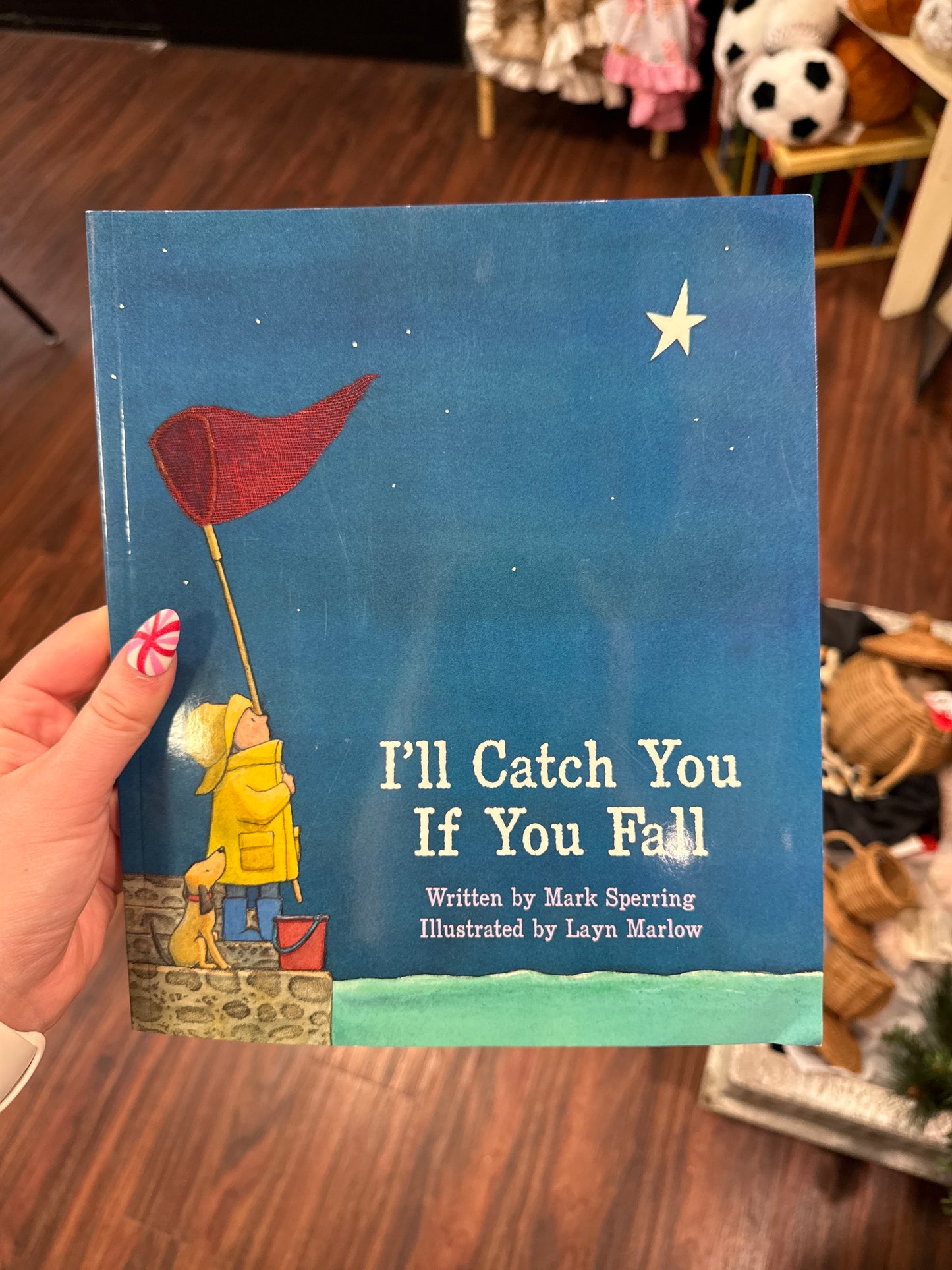 I’ll catch you if you fall book