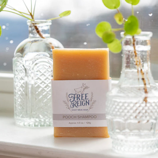 Free Reign Pooch  Shampoo Bar