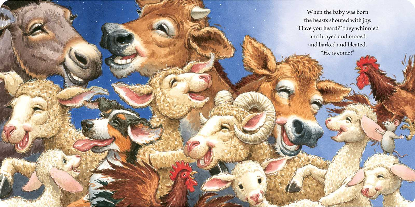 Christmas Baby by Marion  Dane Bauer