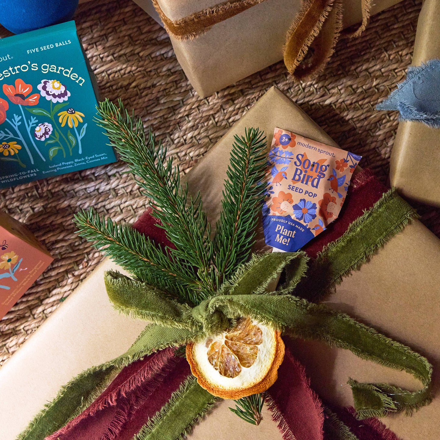 Pollinator Seed Pops