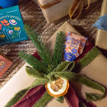 Pollinator Seed Pops