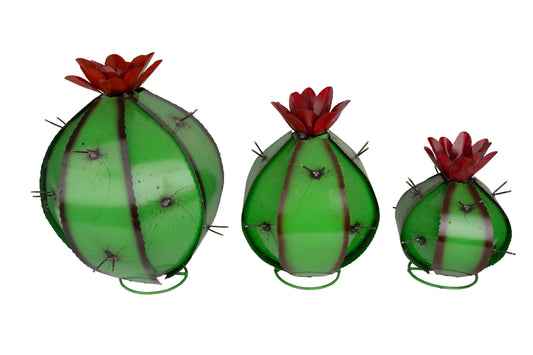 Barrel Metal Cactus-Garden-Desert-Barrel-Green