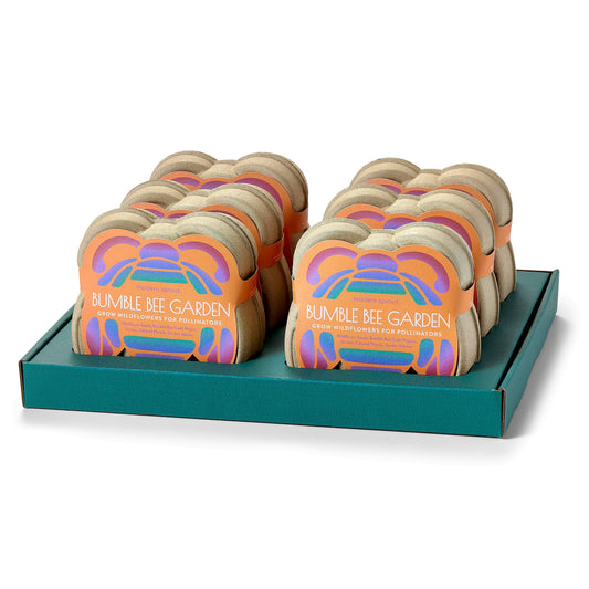 Curious Critters Activity Kit
