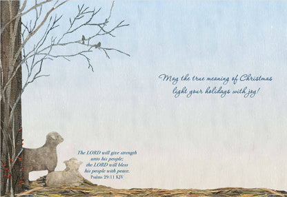 Religious Boxed Christmas Cards, Holy Night, KJV