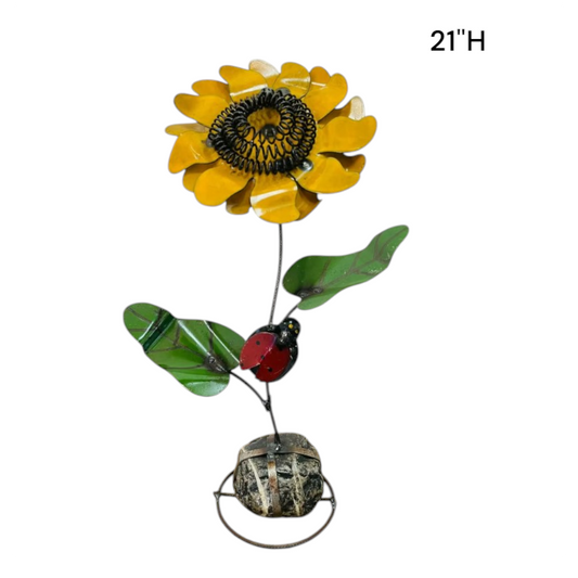 Sunflower with Ladybug