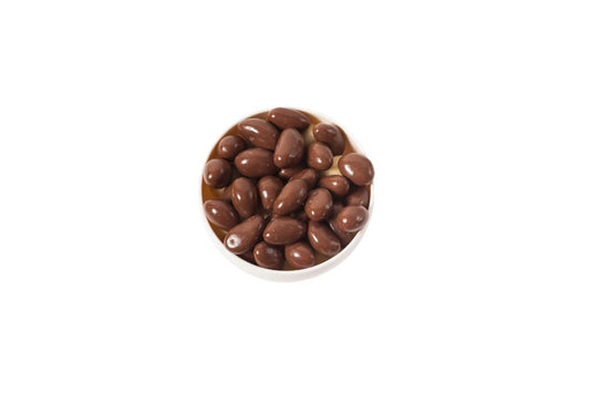 12oz Bag of Sugar Free Chocolate Pecans